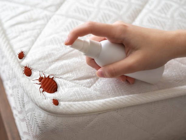 Best Pest Control for Businesses  in Schnecksville, PA